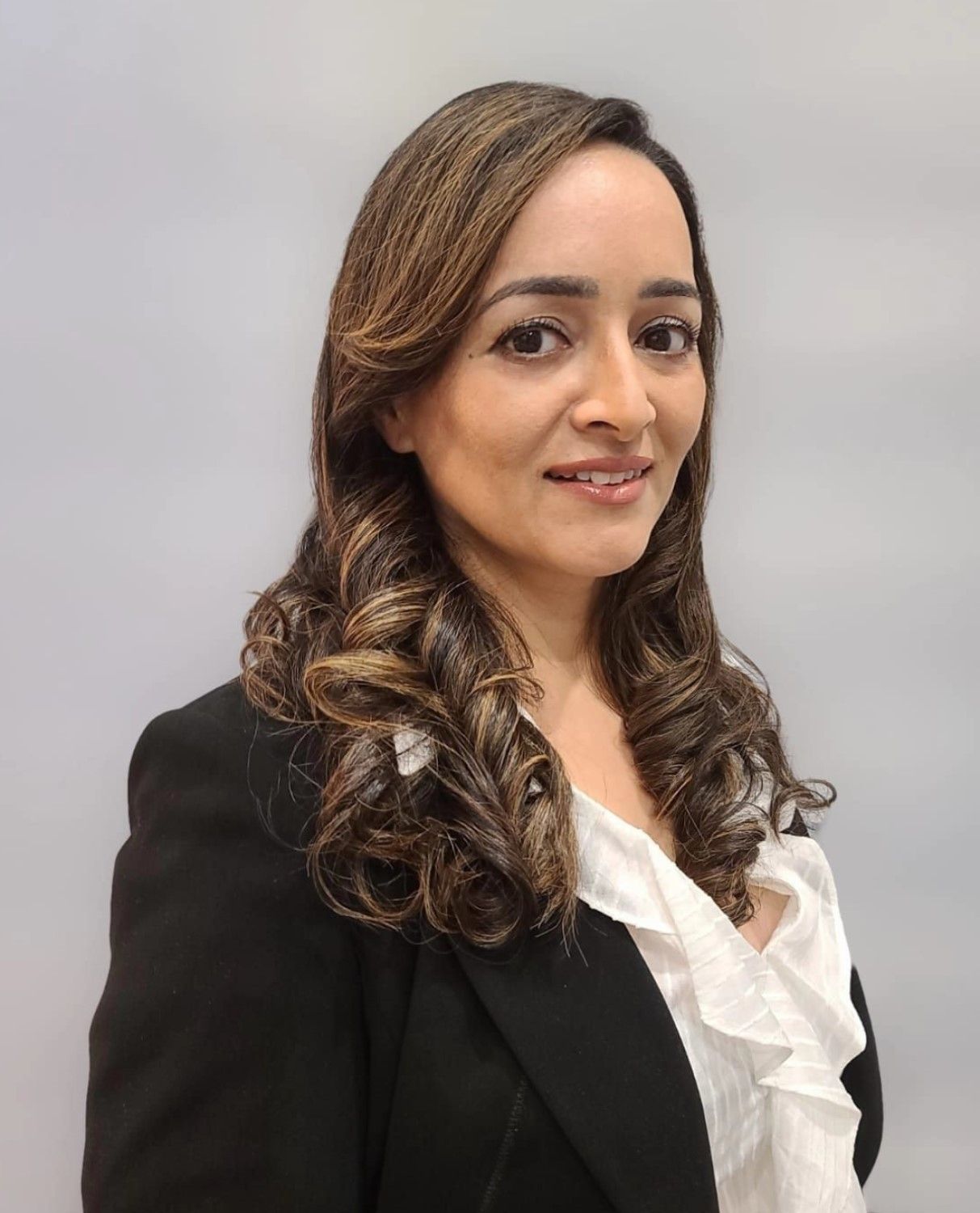 Virtual Law Group Canada - Real Estate Lawyers, Personal Injury, Immigration, Family Law, Business Law gallery photo