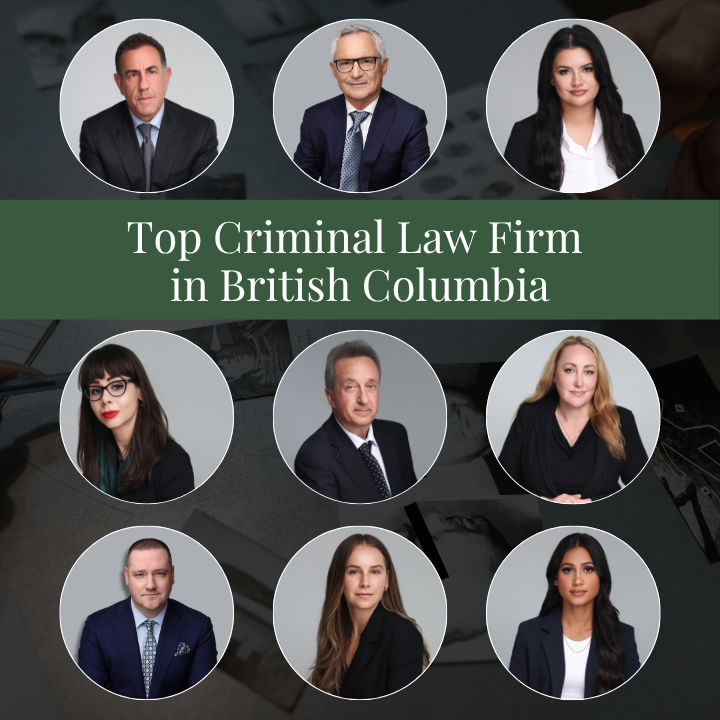 Stern Shapray Criminal Lawyers gallery photo