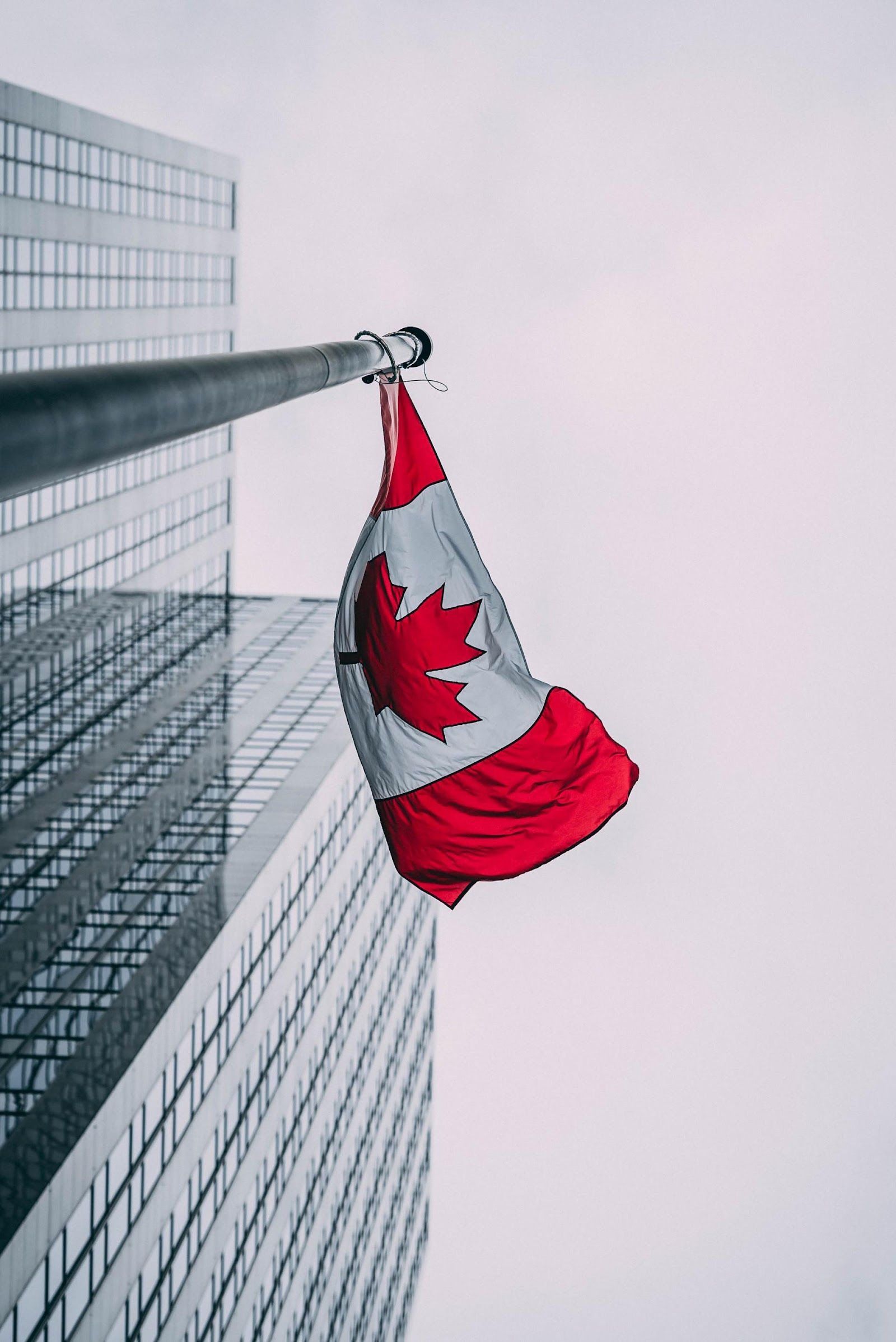 Thunder Immigration Consultancy Services gallery photo