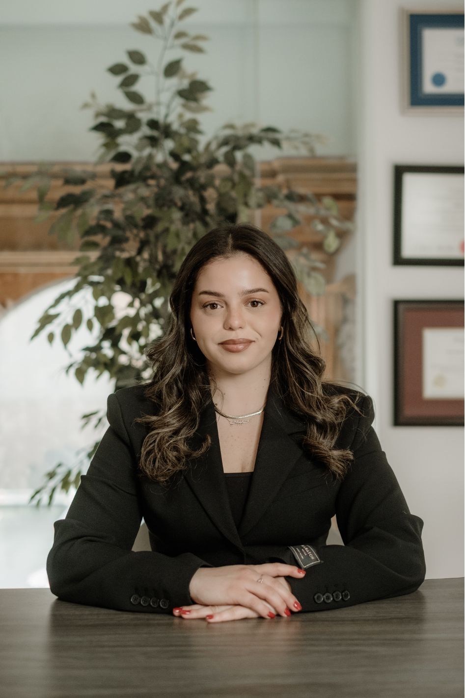 Ginzburg Legal gallery photo
