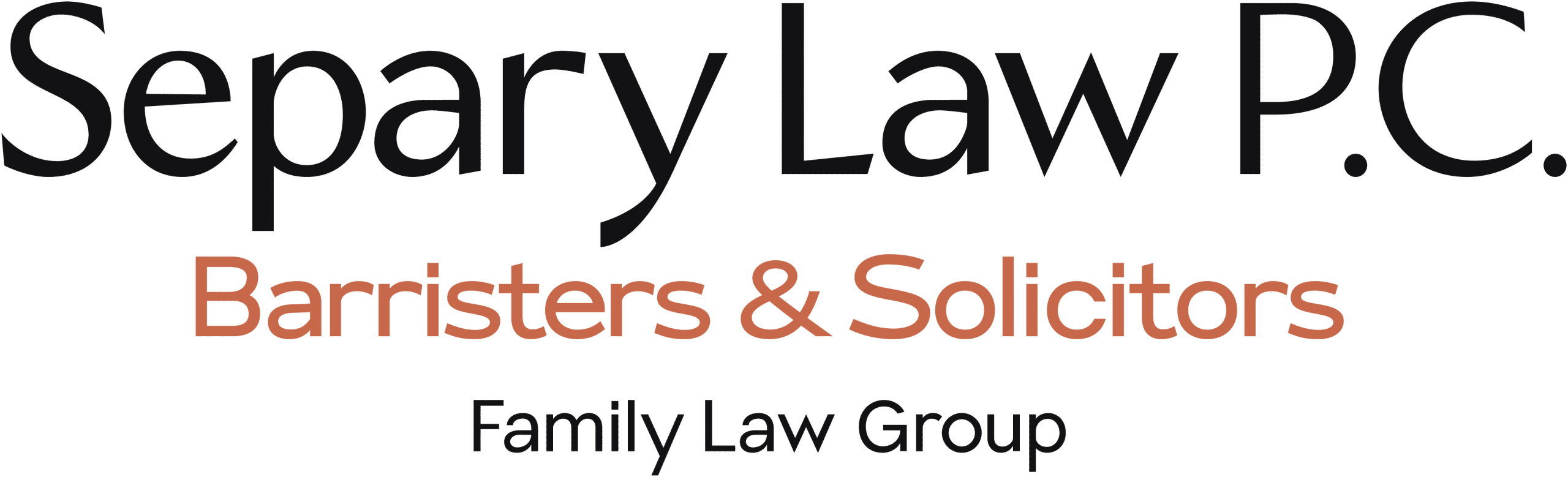 Separy Law P.C. - Toronto Family Lawyers, lawyer in Toronto