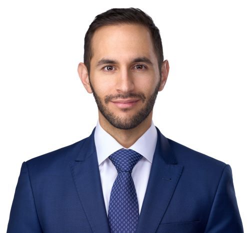 Silver Immigration - US Immigration Lawyer Montreal gallery photo