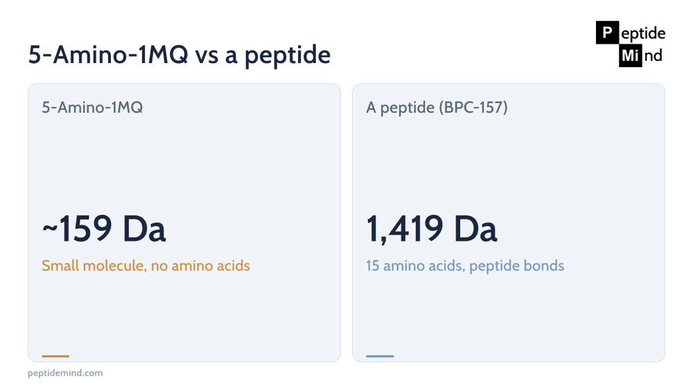 5-Amino-1MQ versus a peptide: a 159 Da small molecule with no amino acids beside a 1,419 Da peptide chain