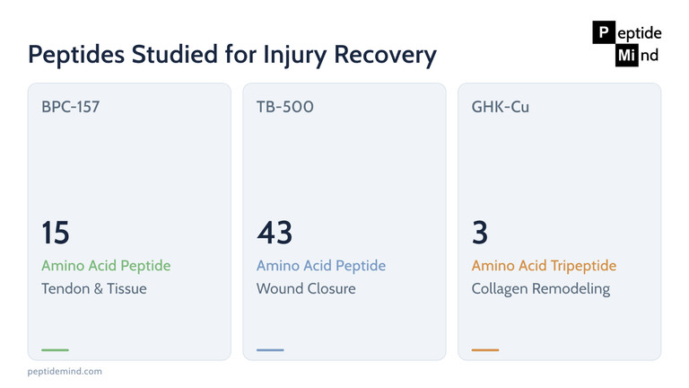 Three key peptides studied for injury recovery showing amino acid count and research focus