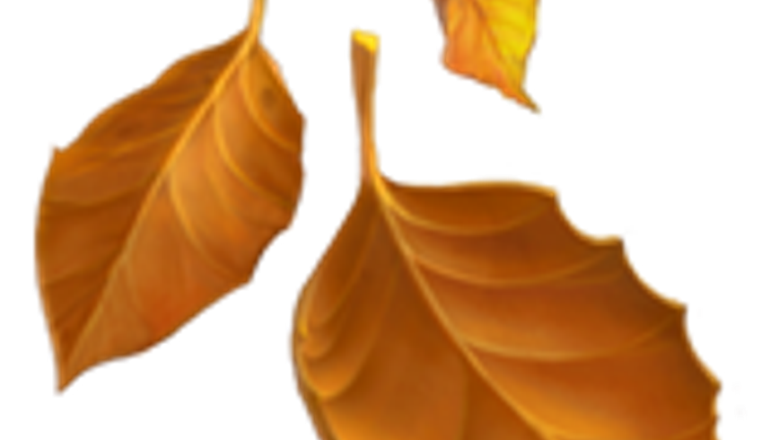 Fallen Leaf Emoji screenshot