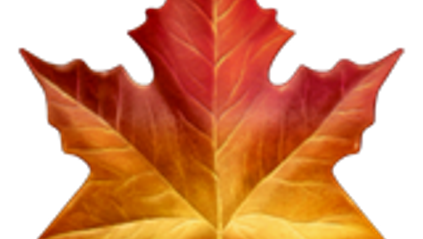 Maple Leaf Emoji screenshot