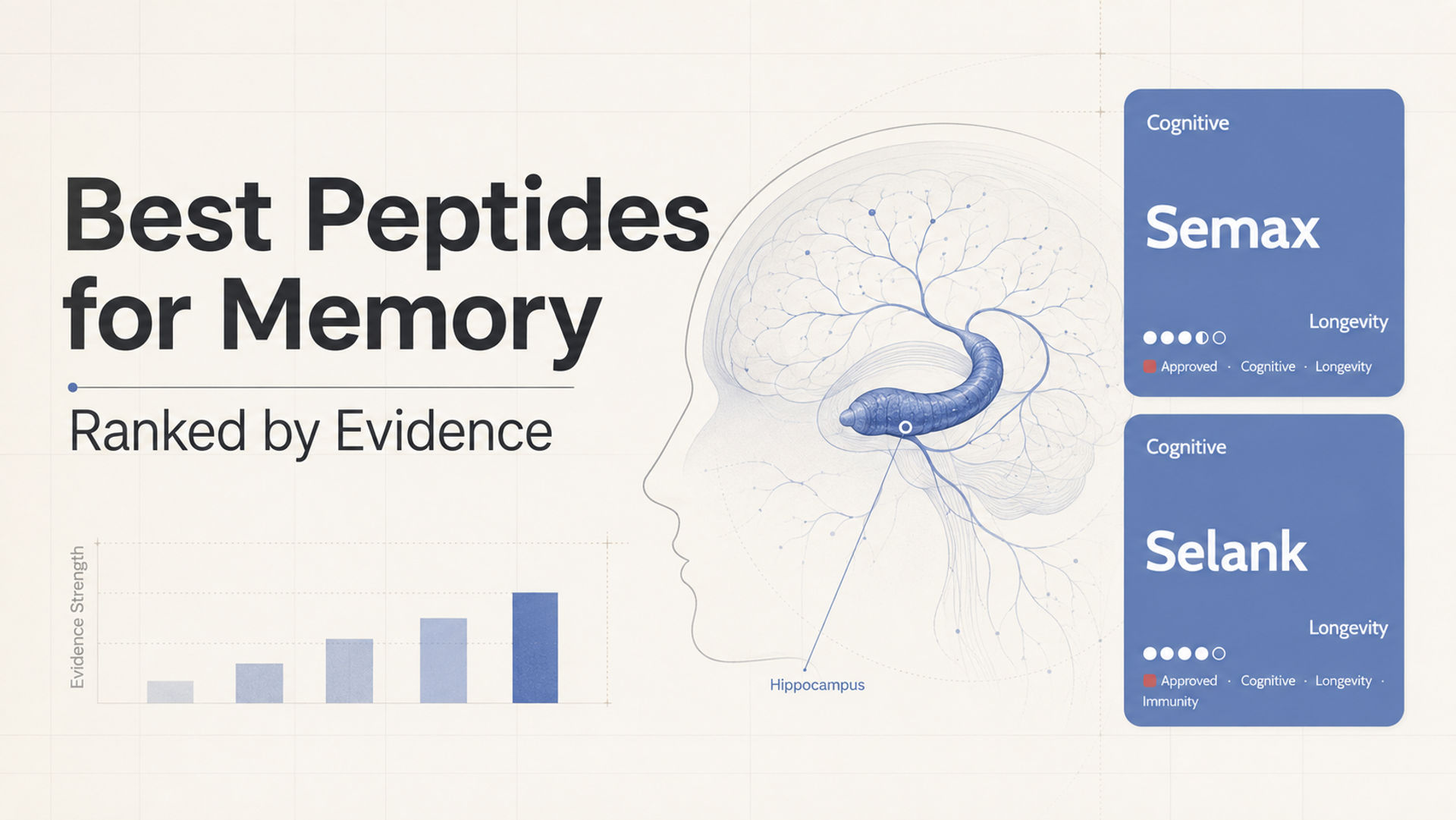 Illustration of a human brain with a highlighted hippocampus, alongside text stating "Best Peptides for Memory Ranked by Evidence." Two peptide names, Semax and Selank, are presented with their features including cognitive benefits and longevity ratings. A bar graph indicates evidence strength.