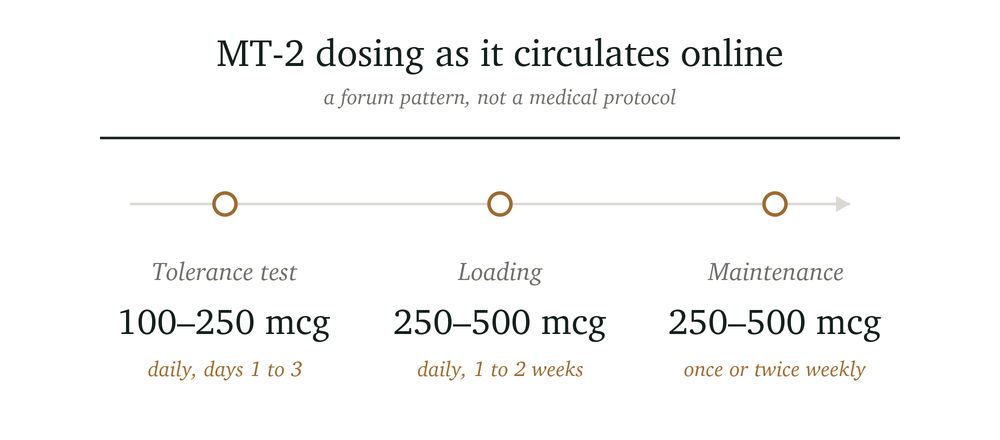 Graphic illustrating MT-2 dosing guidelines, including three phases: Tolerance Test (100-250 mcg daily for 1-3 days), Loading (250-500 mcg daily for 1-2 weeks), and Maintenance (250-500 mcg once or twice weekly).