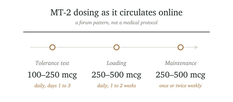 Graphic illustrating MT-2 dosing guidelines, including three phases: Tolerance Test (100-250 mcg daily for 1-3 days), Loading (250-500 mcg daily for 1-2 weeks), and Maintenance (250-500 mcg once or twice weekly).