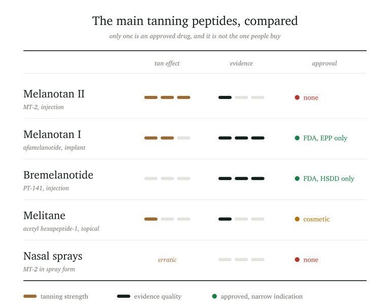 Comparison chart of main tanning peptides, showing their tan effect, evidence quality, and approval status. Includes Melanotan II, Melanotan I, Bremelanotide, Melitane, and nasal sprays, with indications of effectiveness and regulatory approval.