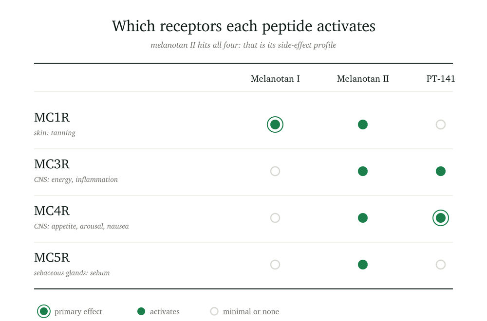 A table comparing the receptors activated by different peptides: Melanotan I, Melanotan II, and PT-141. The receptors listed are MC1R (skin tanning), MC3R (CNS energy and inflammation), MC4R (CNS appetite, arousal, nausea), and MC5R (sebaceous glands, sebum). Green circles indicate primary effects or activation, while gray circles indicate minimal or no effects.
