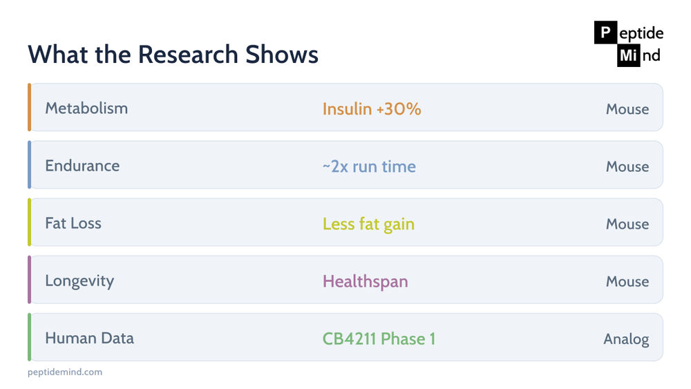 MOTS-c research benefits by area and evidence level, mostly animal studies with one human analog trial