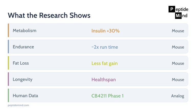 MOTS-c research benefits by area and evidence level, mostly animal studies with one human analog trial