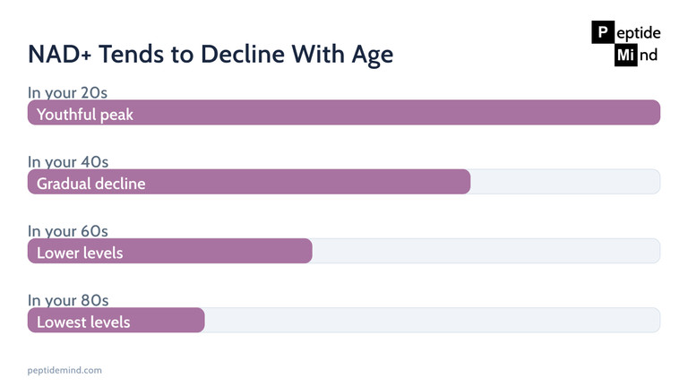 Illustrative trend of NAD+ levels gradually declining with age across decades