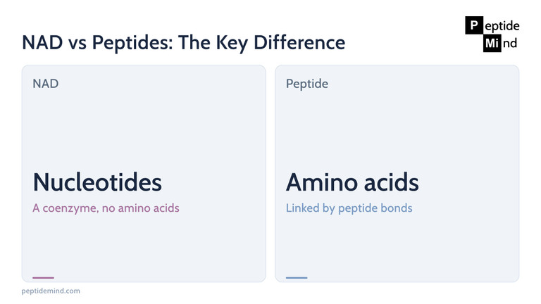 NAD vs peptides: nucleotides versus amino acids as building blocks