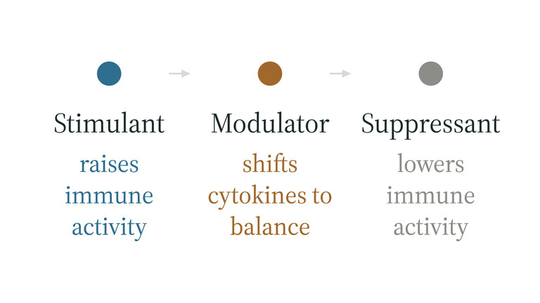 Immunostimulant, immunomodulator and immunosuppressant peptides compared by what each does to immune activity