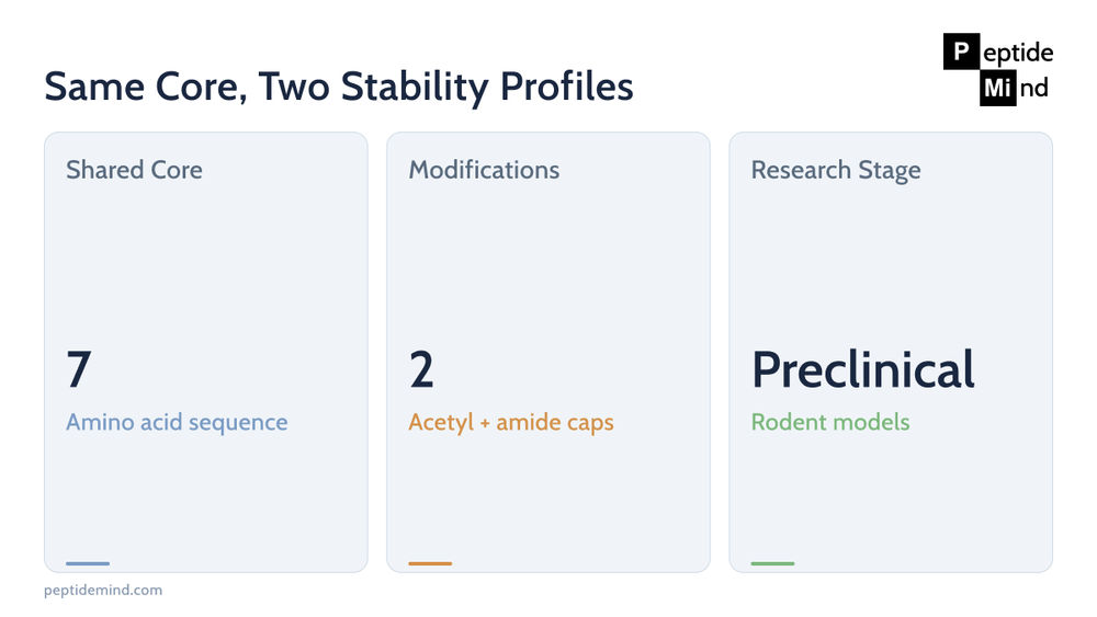 Same shared core, two stability profiles for Semax and N-Acetyl Semax Amidate