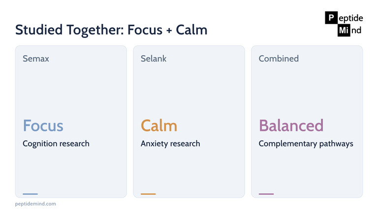 Semax and Selank studied together for complementary focus and calm research profile
