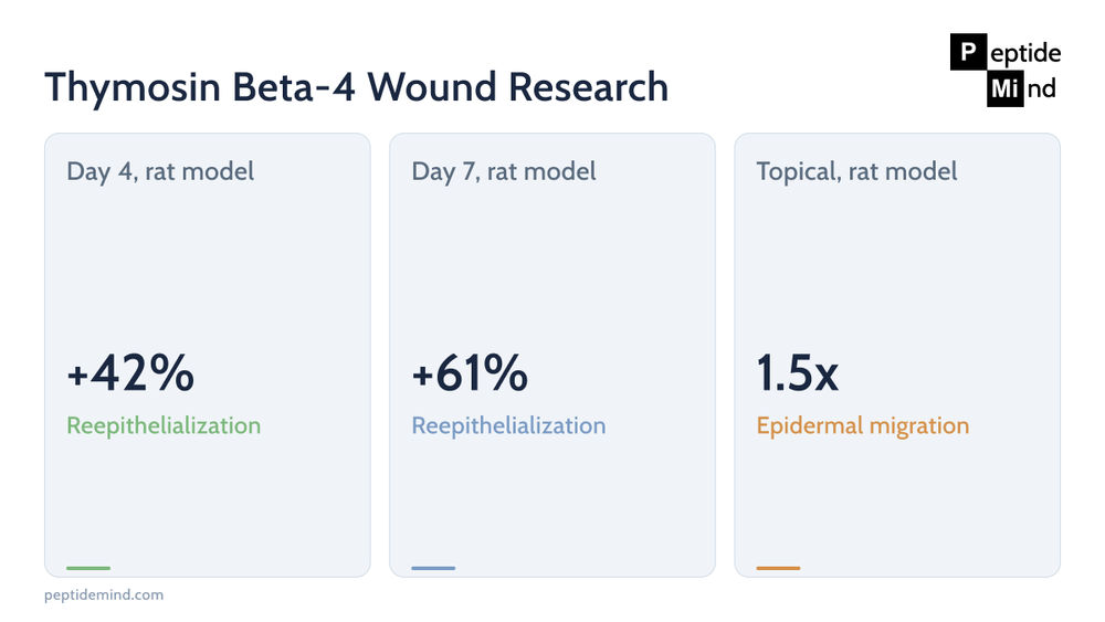 Thymosin Beta-4 dermal wound research findings from preclinical rat models