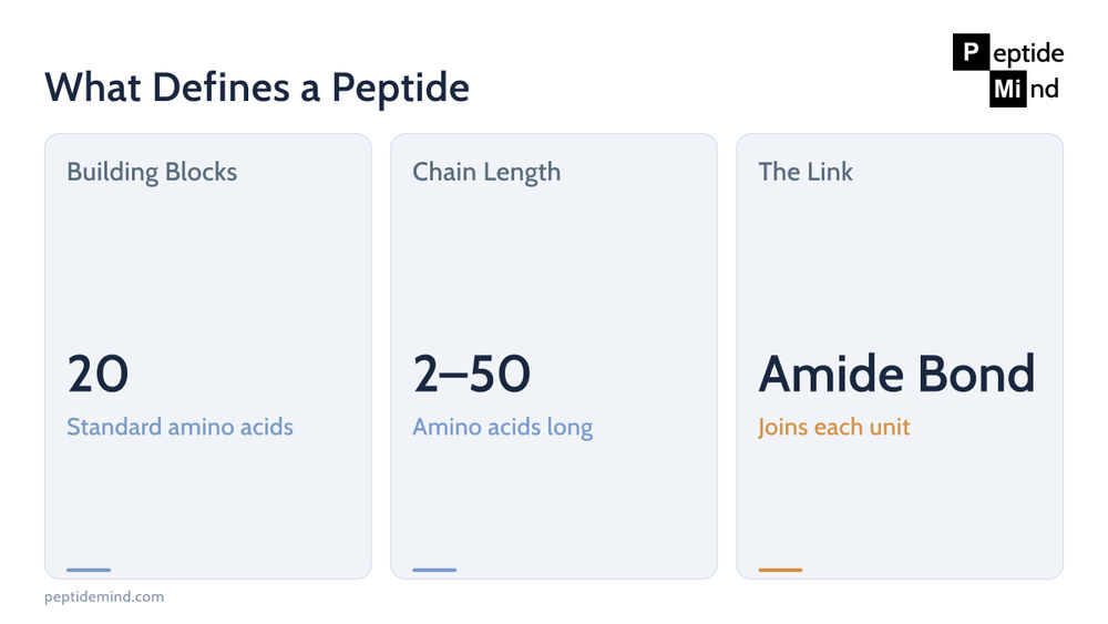 What defines a peptide: 20 amino acids, 2 to 50 chain length, amide bond