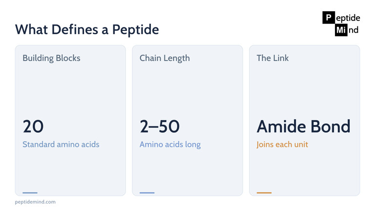 What defines a peptide: 20 amino acids, 2 to 50 chain length, amide bond