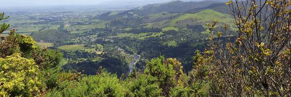 Mount Karangahake Summit Walk