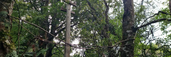 Maratoto Wires Track