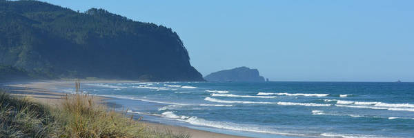 Opoutere Beach and Forest Walk