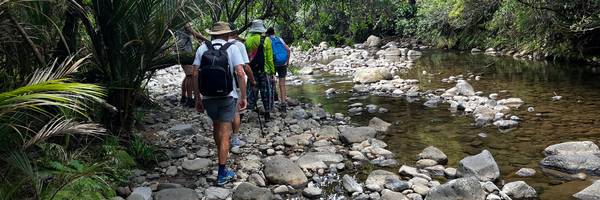 Waitekohekohe Kids Educational Walk
