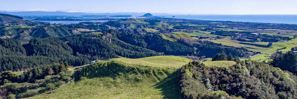 Papamoa Cultural Regional Park and Summerhill Farm