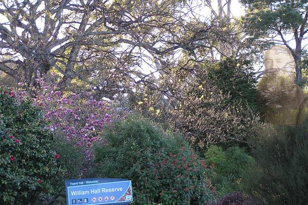 Halls Arboretum