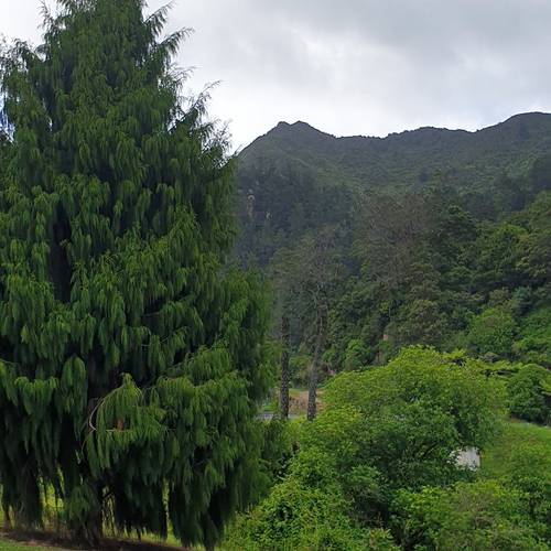Mount Karangahake Summit Walk