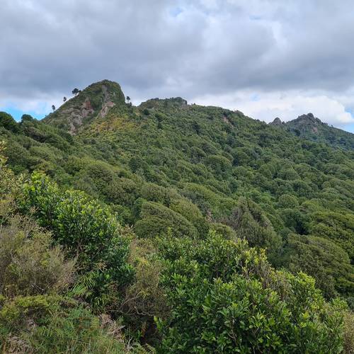 Tuahu Track