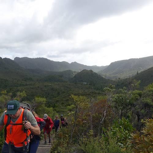 Pinnacles Walk
