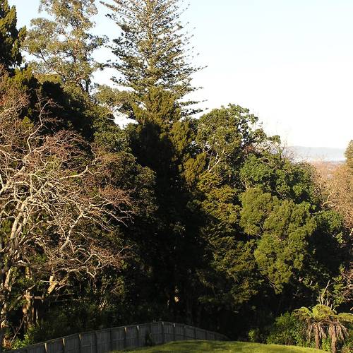 Halls Arboretum