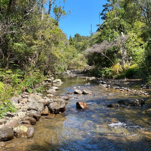 Waitekohekohe Kids Educational Walk