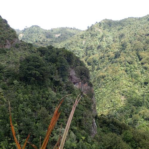 Sentinel Rock Walk