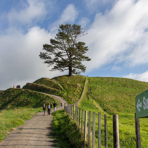Papamoa Cultural Regional Park and Summerhill Farm