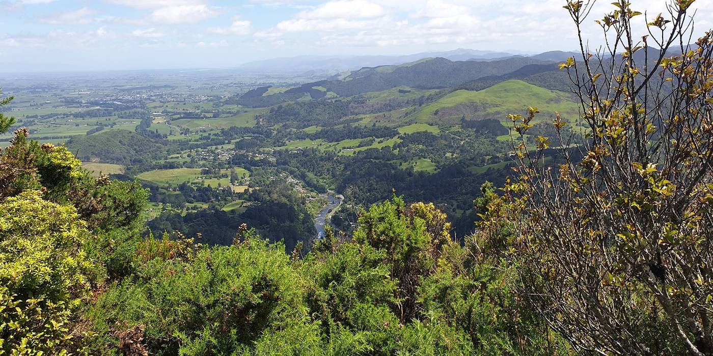 Mount Karangahake Summit Walk