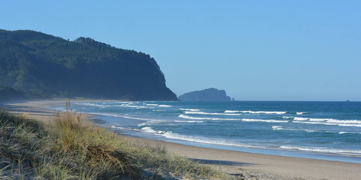 Opoutere Beach and Forest Walk