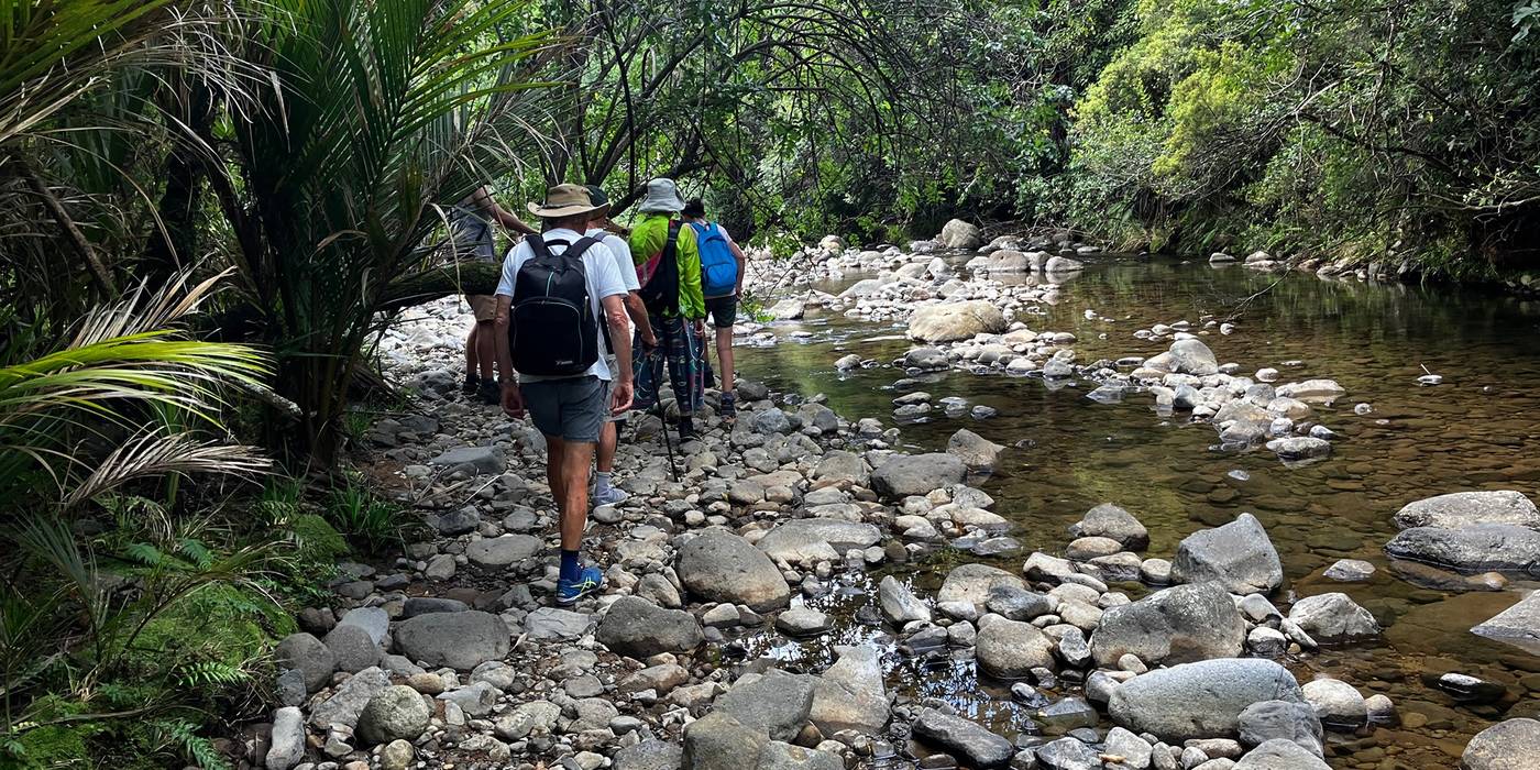 Waitekohekohe Kids Educational Walk