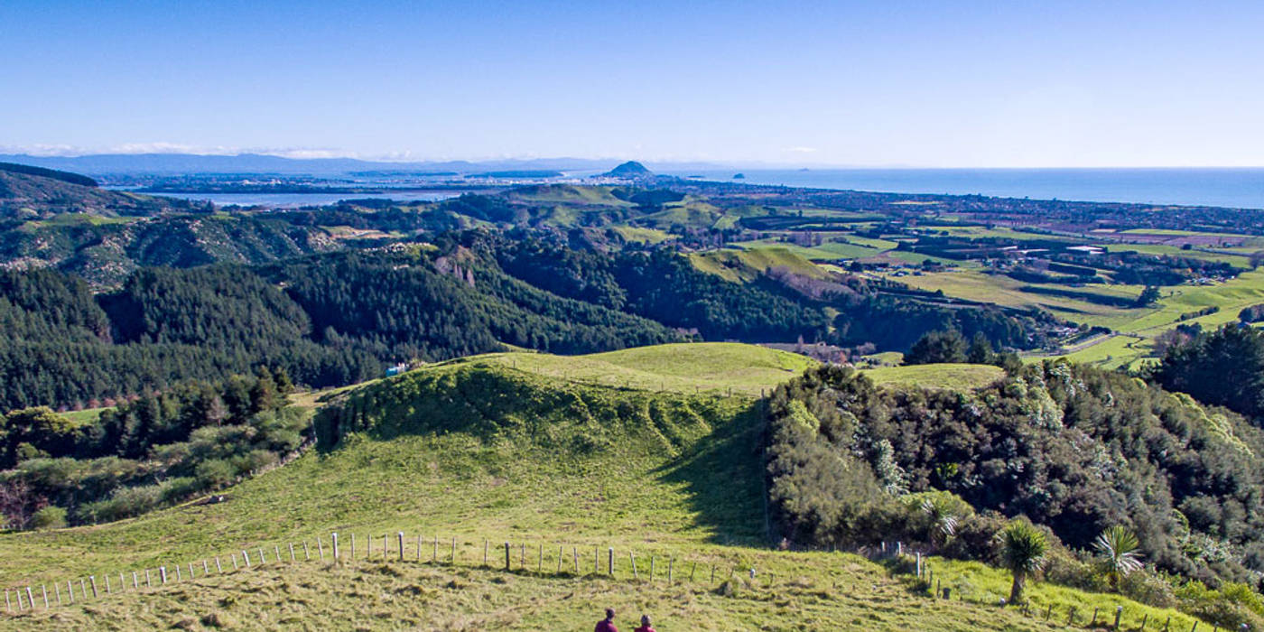 Papamoa Cultural Regional Park and Summerhill Farm