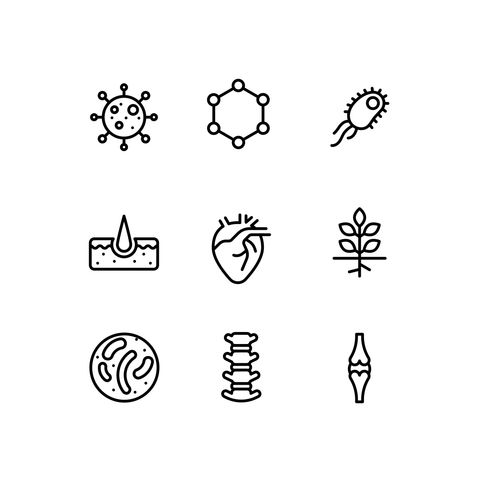 Science and Medical Icon Set Icons