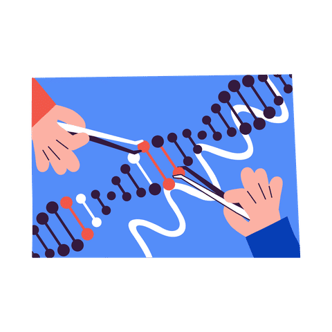 Science and Innovation Illustrations Illustrations