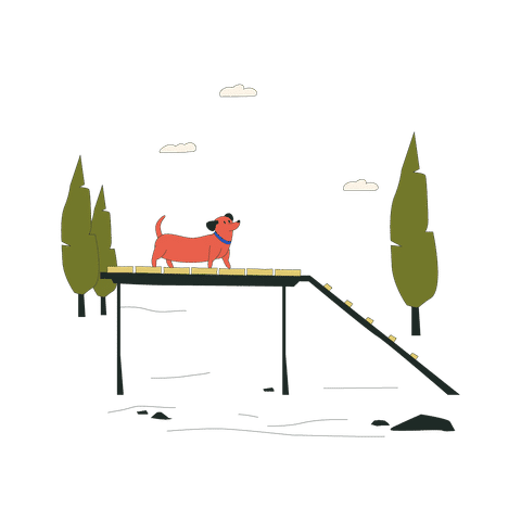 Animal and Pet Care Illustrations Illustrations