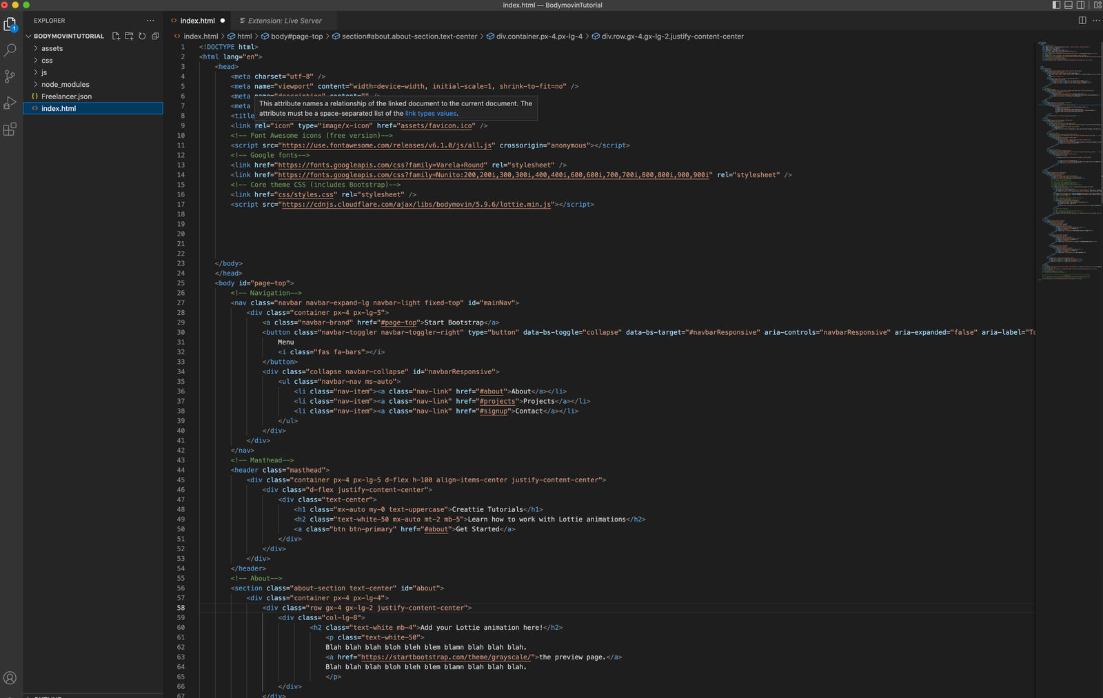 how to paste bodymovin CDN to header