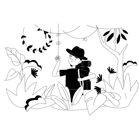 Wildlife Illustrations Illustrations