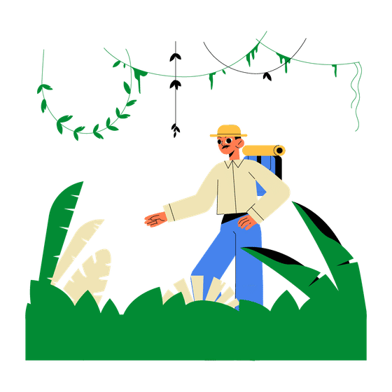 Wildlife Illustrations Illustrations