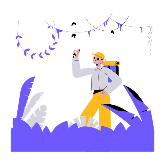 Wildlife Illustrations Illustrations