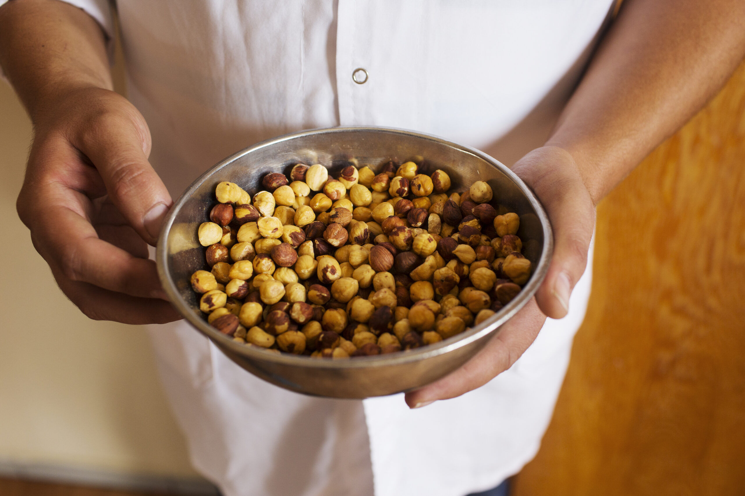 A sample of hazelnuts, the Yavuz Hazelnut Products processing plant, Giresun, Turkey.